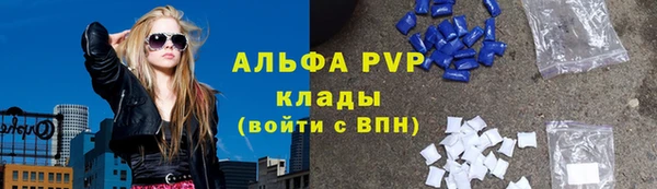 стаф Балахна