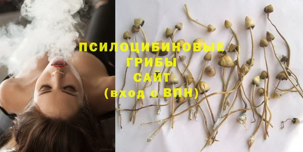 стаф Балахна