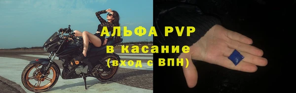 стаф Балахна