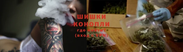 прущие грибы Кадников