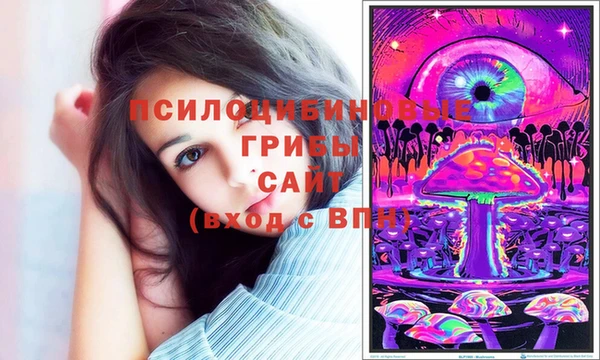 спиды Армянск
