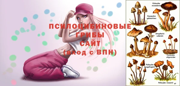 стаф Балахна