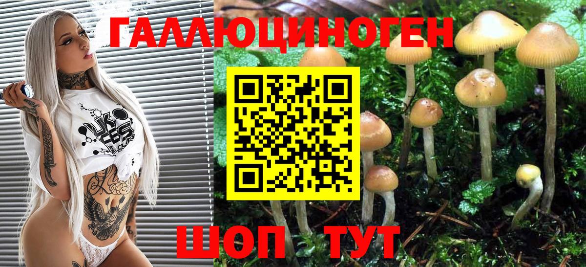 Галлюциногенные грибы прущие грибы Гай
