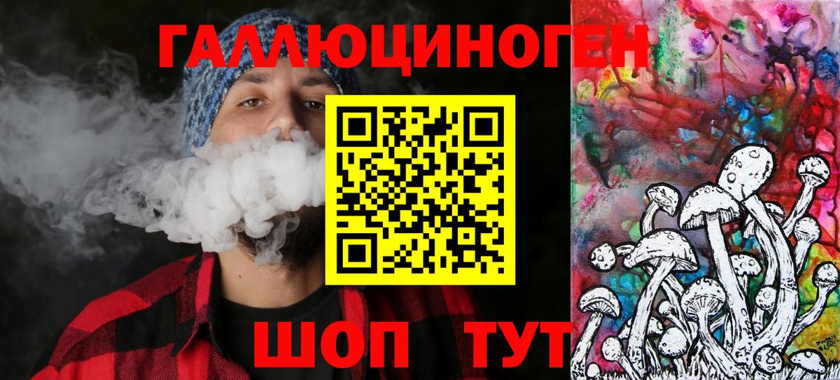 Гай  Галлюциногенные грибы Psilocybe  Вход с VPN 