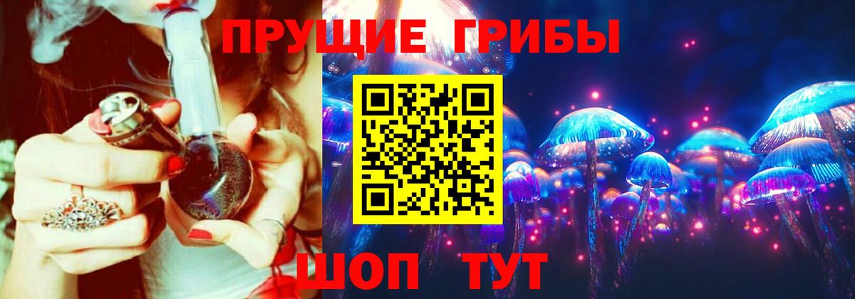 Галлюциногенные грибы Magic Shrooms  Гай 