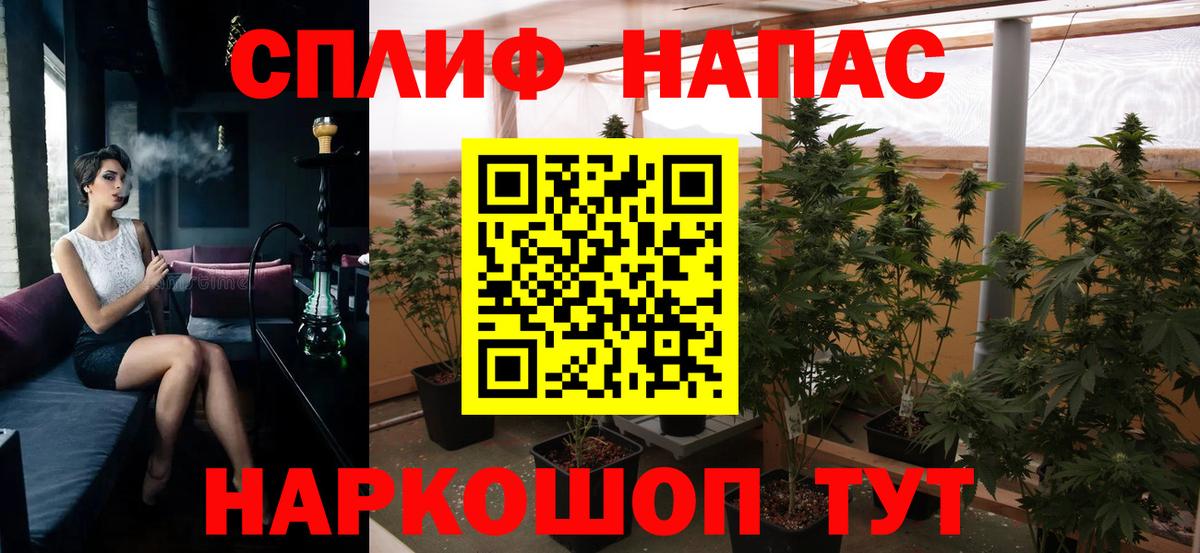 Марихуана индика  Гай  Бошки марихуана OG Kush  Шишки марихуана сатива  Марихуана план 